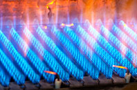 Heathtop gas fired boilers